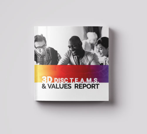 PeopleKeys® Report (DTV – DISC Report with TEAMS & Values)