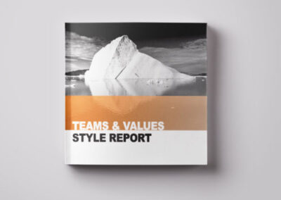 Teams & Values Style Report