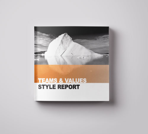 Teams & Values Style Report