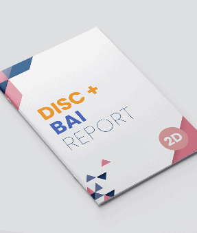 A white book titled DISC BAI Report