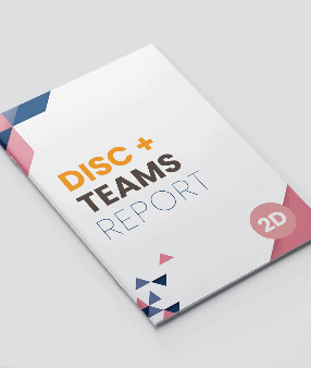 A white book titled DISC Teams Report