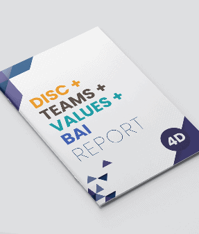 A white book titled DISC team values BAI report