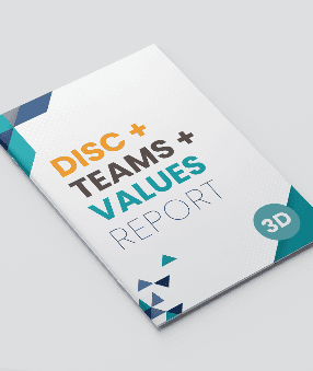 A white book titled DISC Teams Values Report