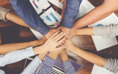 How DISC Personality Profiling Can Transform Your Leadership Style